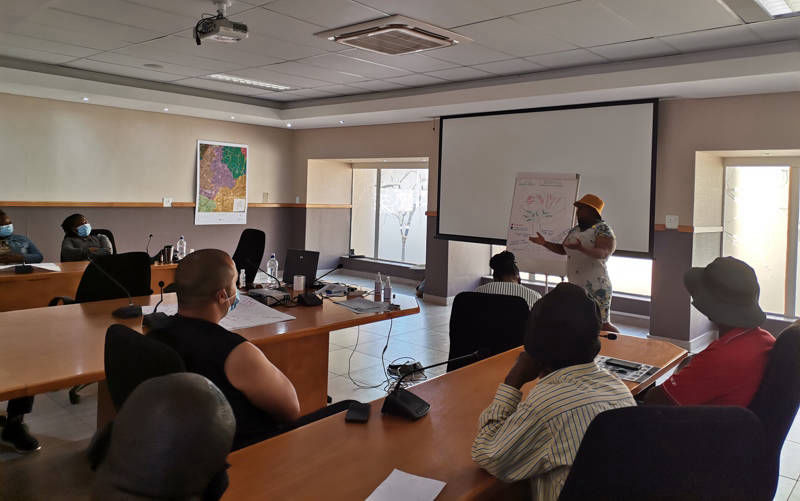 Image of Micro Disaster Risk Assessment, Profiling and Mapping, and Review of the Macro Assessment - Gauteng CoGTA