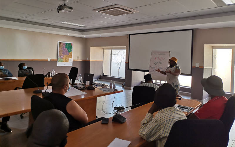 Image of Micro Disaster Risk Assessment, Profiling and Mapping, and Review of the Macro Assessment - Gauteng CoGTA