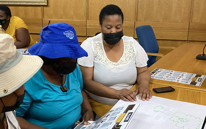 Image of Micro Disaster Risk Assessment, Profiling and Mapping, and Review of the Macro Assessment - Gauteng CoGTA