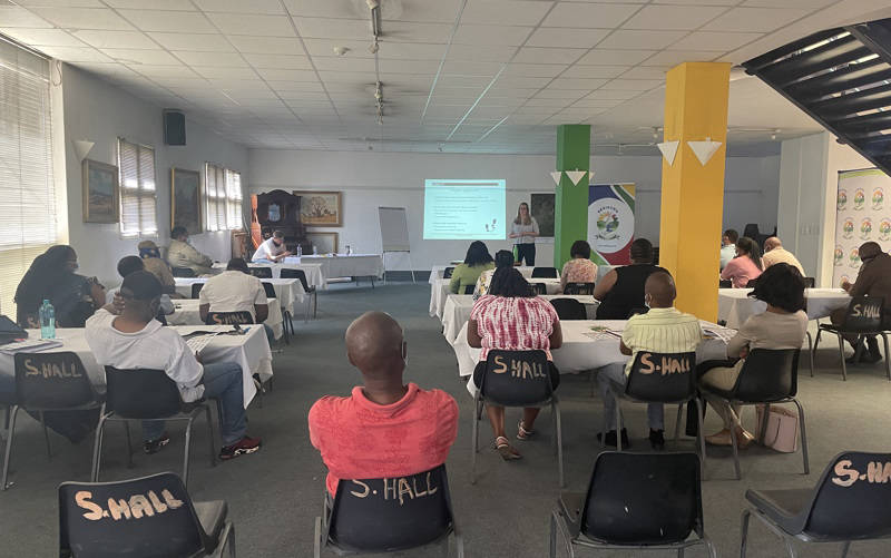 Image of Micro Disaster Risk Assessment, Profiling and Mapping, and Review of the Macro Assessment - Gauteng CoGTA