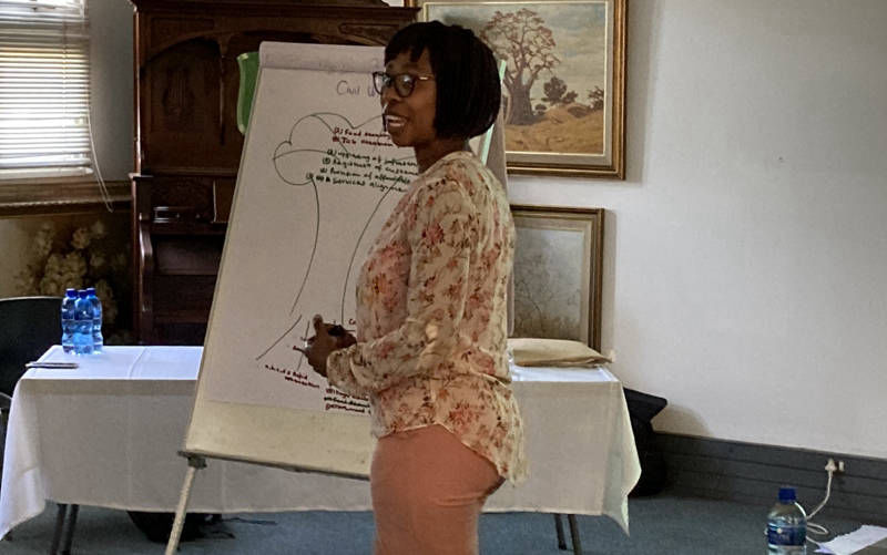 Image of Micro Disaster Risk Assessment, Profiling and Mapping, and Review of the Macro Assessment - Gauteng CoGTA