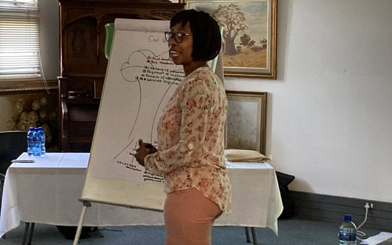 Image of Micro Disaster Risk Assessment, Profiling and Mapping, and Review of the Macro Assessment - Gauteng CoGTA