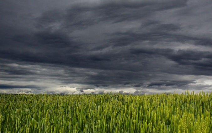 Image for the Review of the Disaster Risk Profile – West Coast District Municipality, Moorreesburg